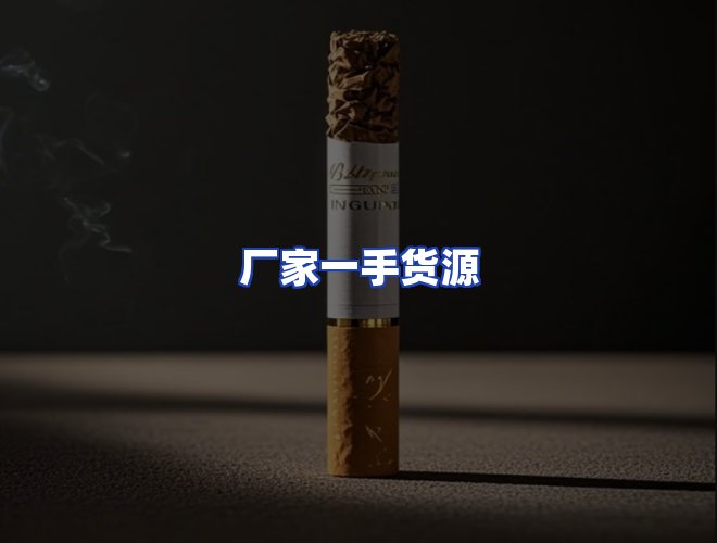 专业团队
